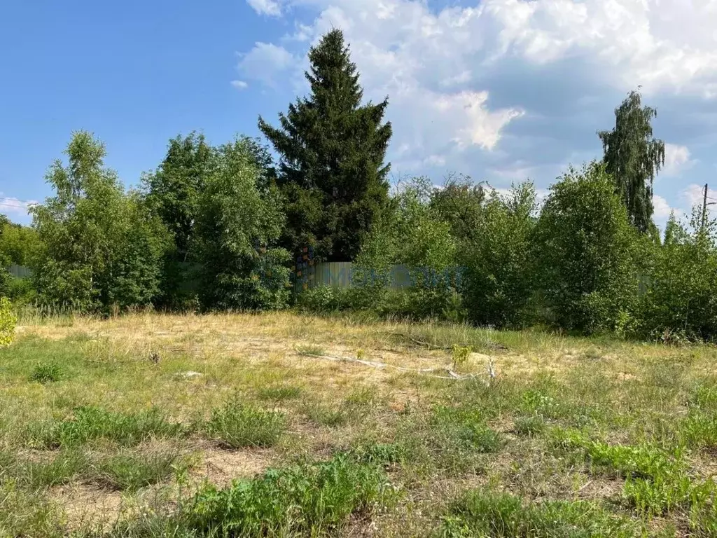 Участок в Нижегородская область, Нижний Новгород Светлая ул. (5.33 ... - Фото 1