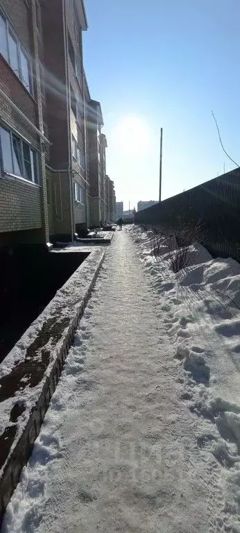 Помещение свободного назначения в Омская область, Омский район, с. ... - Фото 1