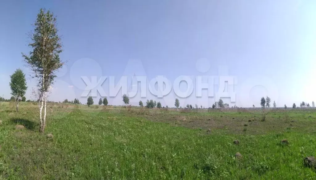Участок 1,86 га (СНТ, ДНП) - Фото 1