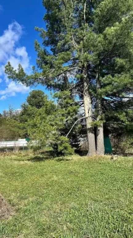 Дом в Томская область, Томский район, Богашевское с/пос, д. Некрасово ... - Фото 1