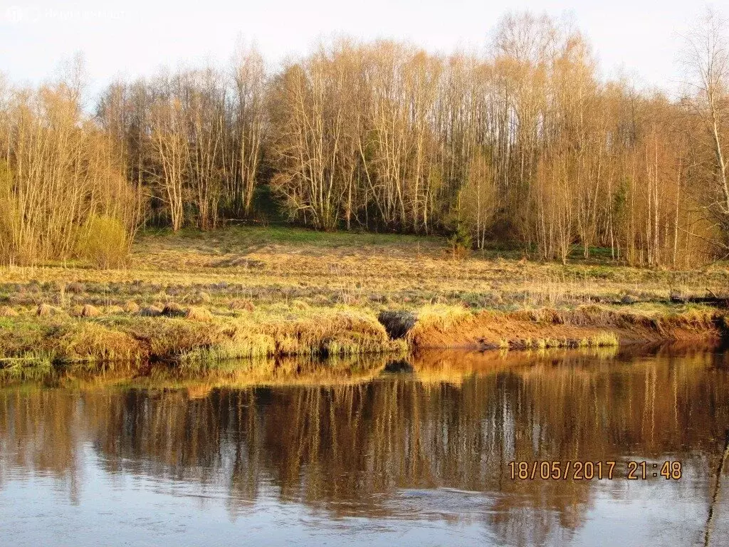 Участок в Тверская область, Бологовский муниципальный округ, деревня ... - Фото 2