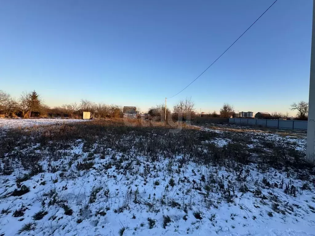 Участок в Брянская область, Брянский район, Снежское с/пос, пос. ... - Фото 1
