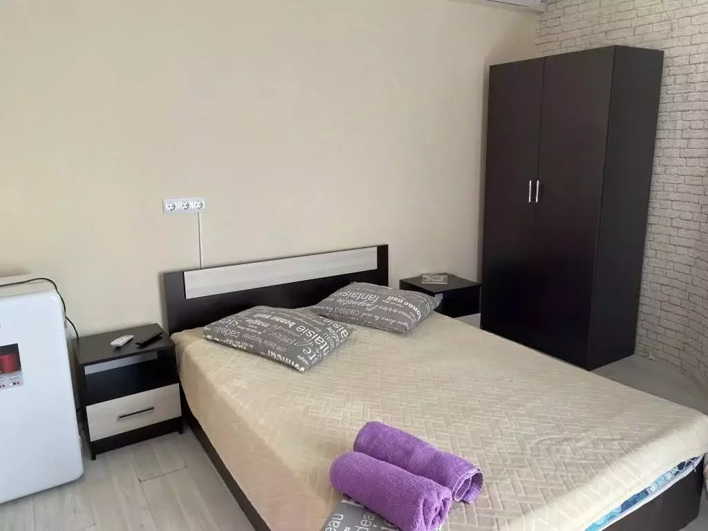 1-к кв. Воронежская область, Воронеж ул. Кирова, 22 (20.0 м) - Фото 0