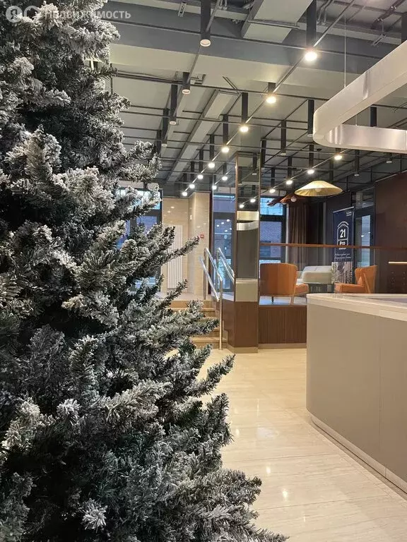 2-комнатная квартира: Санкт-Петербург, Большая Разночинная улица, 21 ... - Фото 2