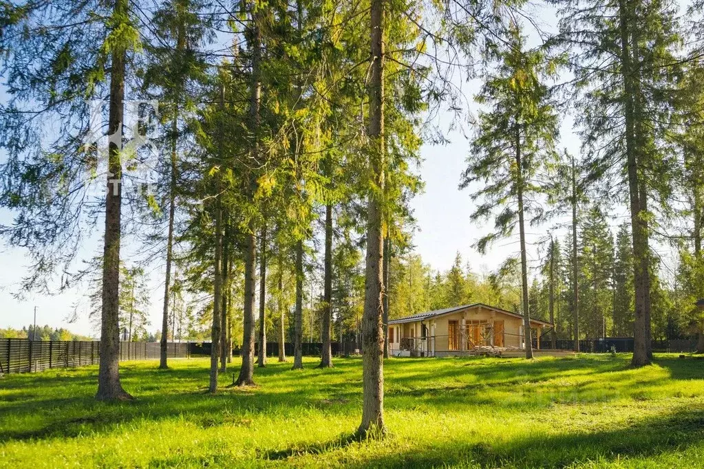 Участок в Московская область, Клин городской округ, Ели Эстейт ... - Фото 1