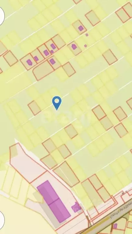 Участок в Брянская область, Брянский район, Мичуринское с/пос, Заря ... - Фото 2