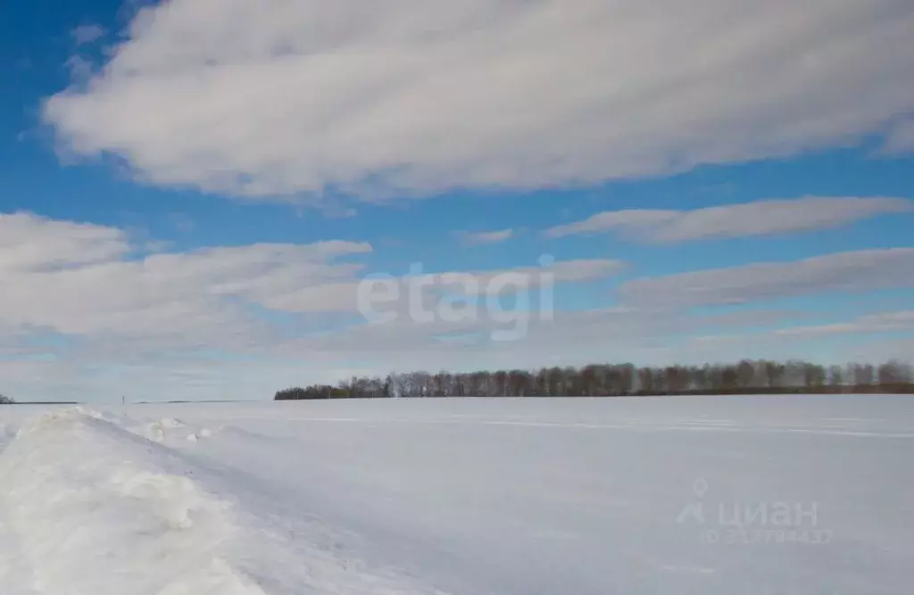 Участок в Калужская область, Ферзиковский район, Красный Городок ... - Фото 2