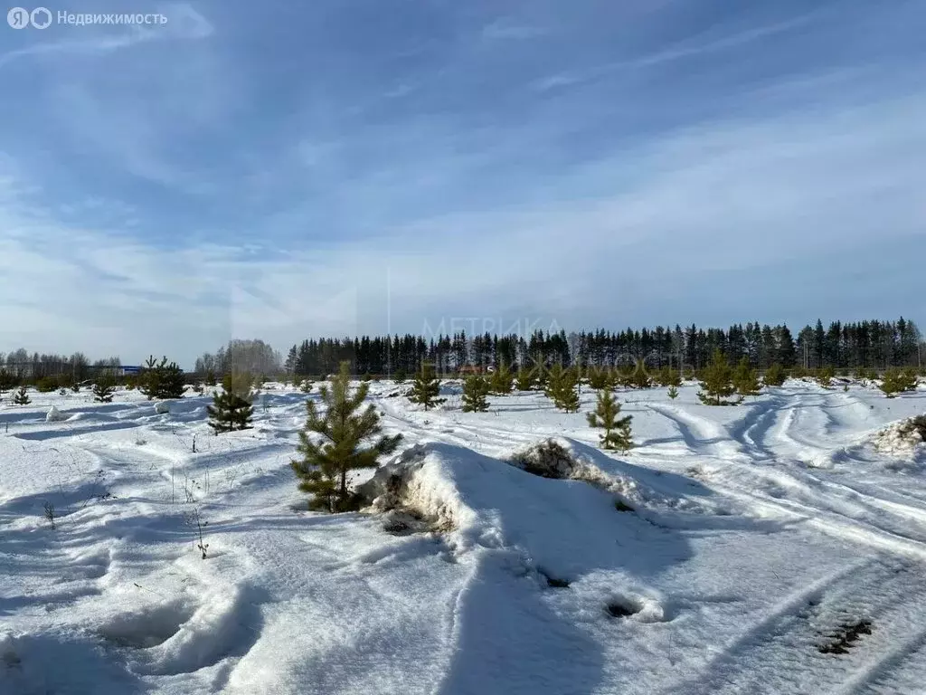 Участок в Тюмень, садовое товарищество Поле Чудес-2, Ягодная улица (5 ... - Фото 0