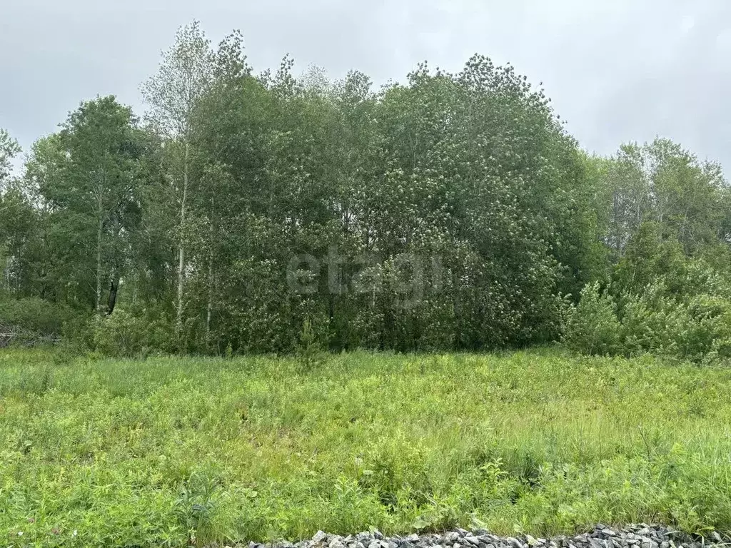 Участок в Тюменская область, Тюменский муниципальный округ, д. Зырянка ... - Фото 0