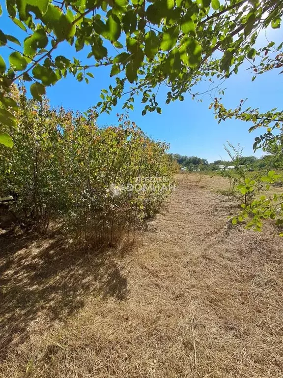Участок в Ростовская область, Октябрьский район, Красюковская сл. ... - Фото 2
