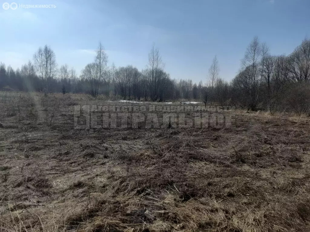 Участок в Смоленский муниципальный округ, деревня Демидовка, Кленовая ... - Фото 2