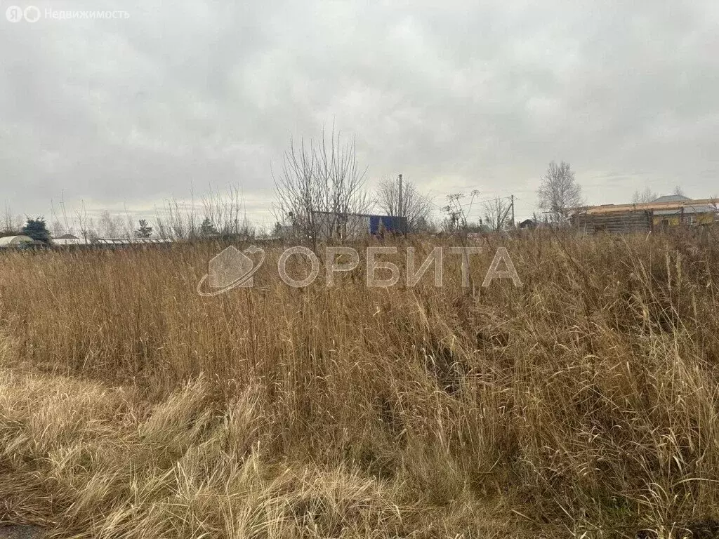 Участок в Тюмень, садовое товарищество Поле Чудес, Проездной переулок, ... - Фото 1