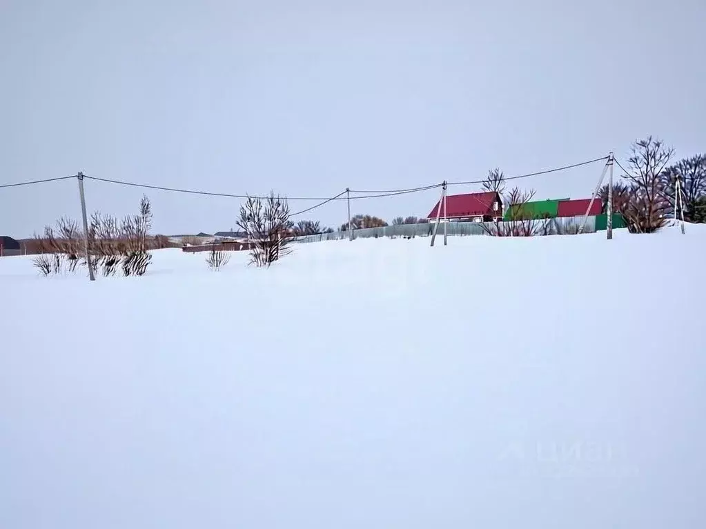 Участок в Тульская область, Ясногорский район, Ревякинское с/пос, д. ... - Фото 1