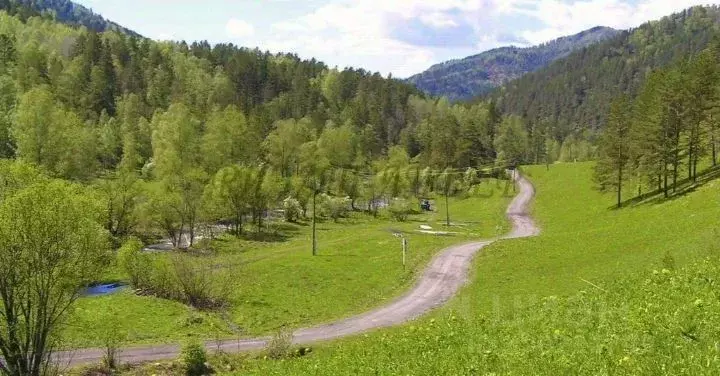 Участок в Алтай, Чемальский район, с. Толгоек  (11.0 сот.) - Фото 0