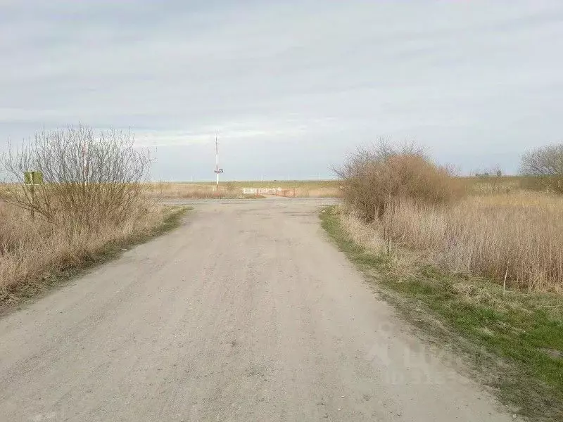 Участок в Калининградская область, Гурьевский муниципальный округ, ... - Фото 0