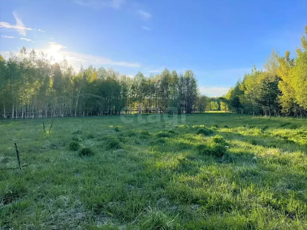 Участок в Владимирская область, Покров городской округ, д. Панфилово  ... - Фото 2