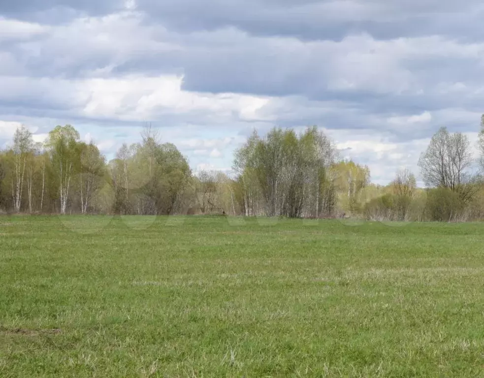 Участок 10 сот. (ИЖС) - Фото 1