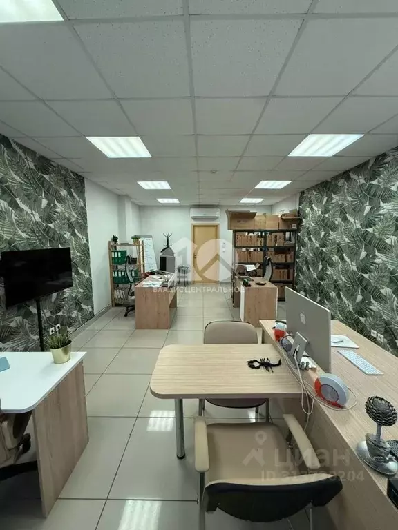 Офис в Новосибирская область, Новосибирск Советская ул., 64/1 (60 м) - Фото 2