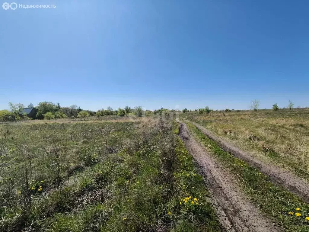 Участок в Каширский район, Каменно-Верховское сельское поселение, СНТ ... - Фото 0