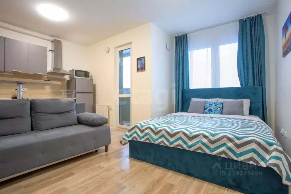 Студия Санкт-Петербург ул. Чарушинская, 24к1 (25.6 м) - Фото 1