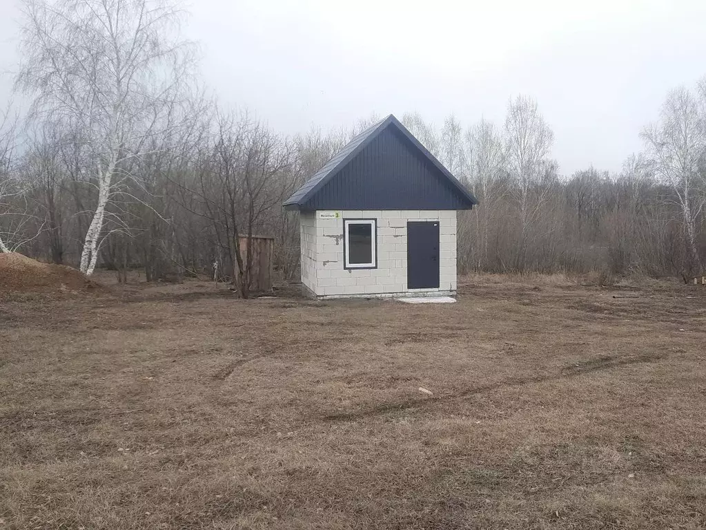 Участок в Алтайский край, Барнаул городской округ, пос. Бельмесево ... - Фото 1