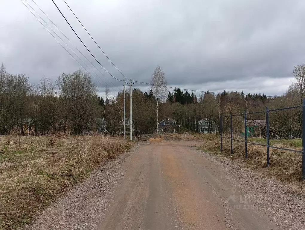 Участок в Ленинградская область, Всеволожский район, Лесколовское ... - Фото 1