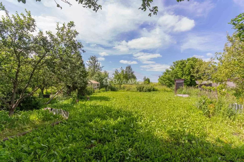 Участок в Владимирская область, Суздальский район, Селецкое ... - Фото 2