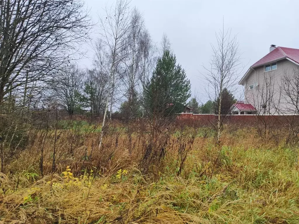 Участок в Московская область, Раменский муниципальный округ, с. ... - Фото 2