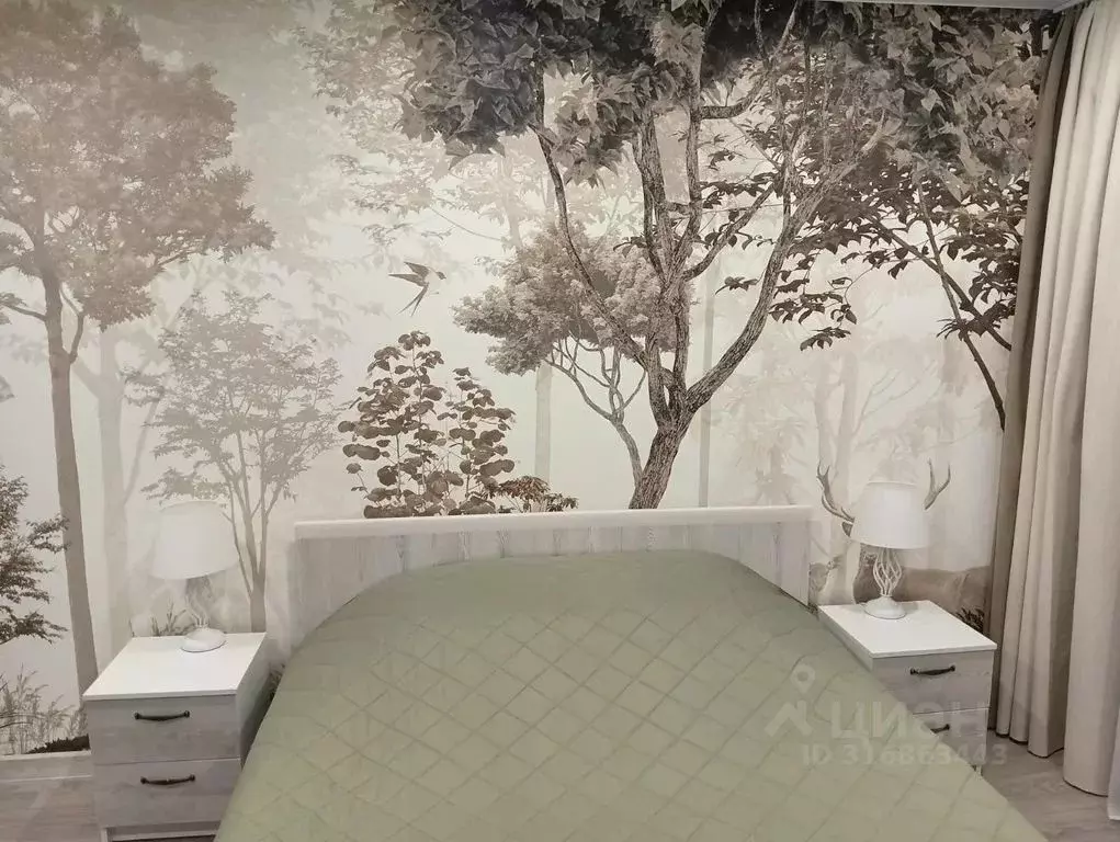 2-к кв. Псковская область, Псков Ольгинская наб., 11 (42.0 м) - Фото 2