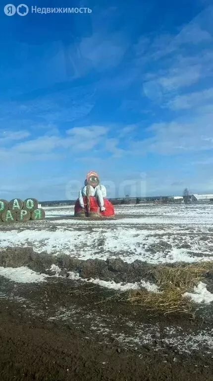Участок в деревня Марфино, деревня Шаньково (10 м) - Фото 1