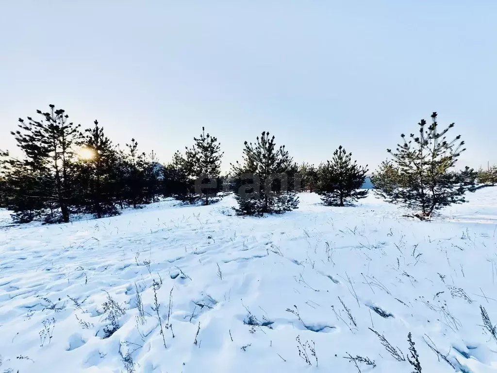 Участок в Забайкальский край, Чита Светлый мкр, 100 (23.51 сот.) - Фото 2