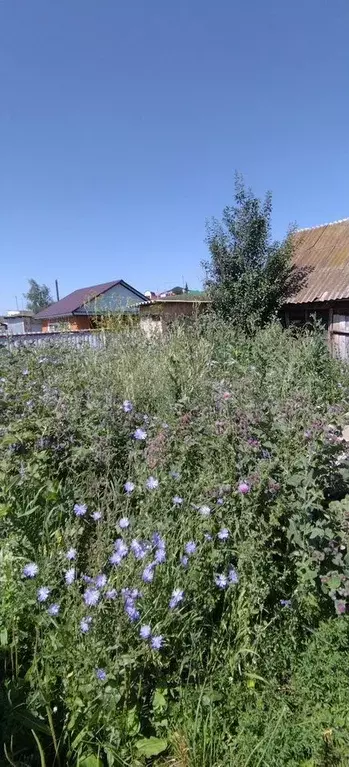 Дом 62 м на участке 4 сот. - Фото 1