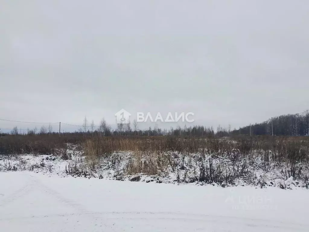 Участок в Нижегородская область, с. Безводное  (10.0 сот.) - Фото 2