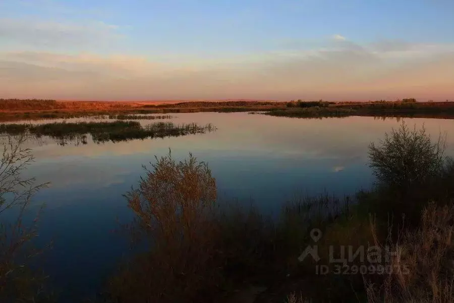 Участок в Московская область, Наро-Фоминский городской округ, д. ... - Фото 1