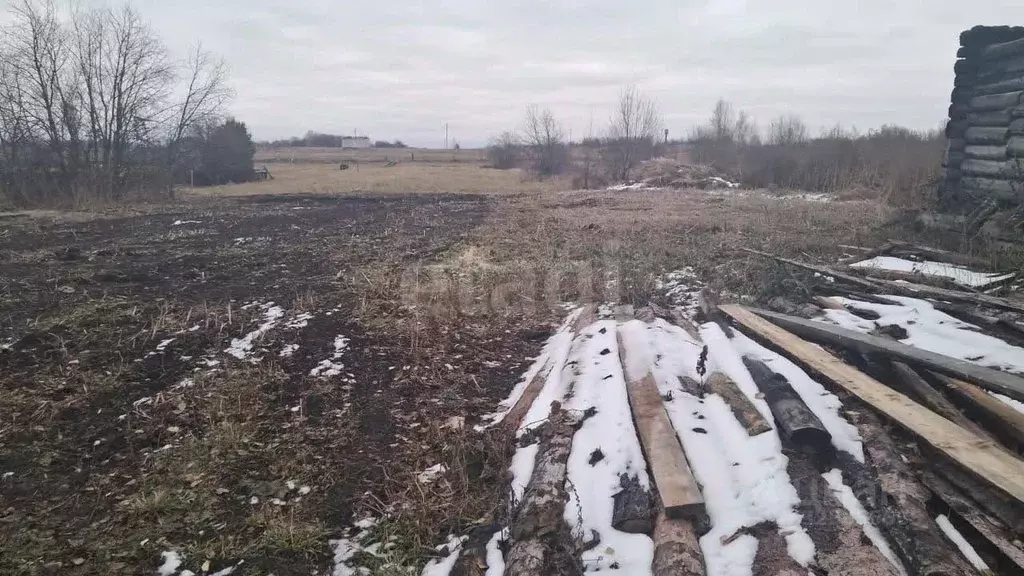 Участок в Томская область, Шегарский район, с. Бабарыкино Набережная ... - Фото 1