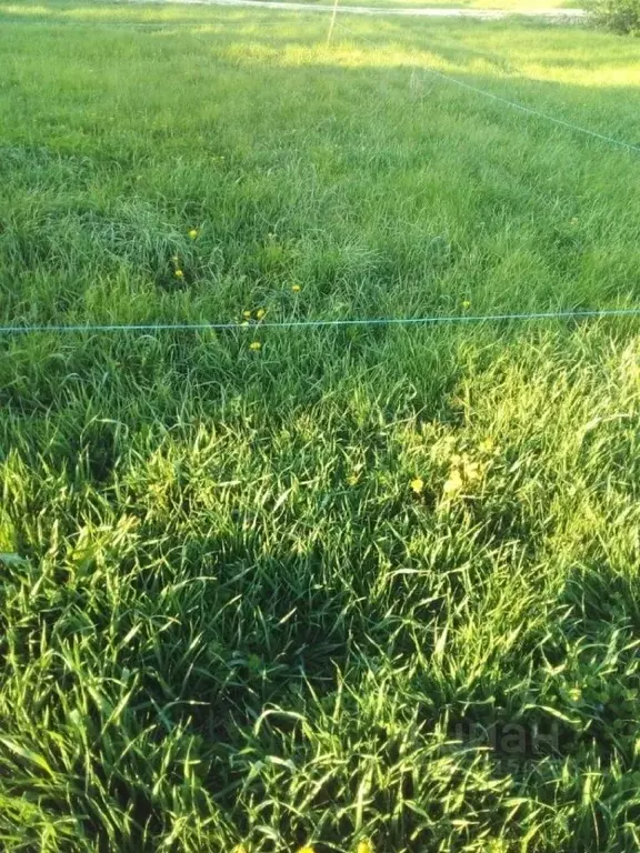 Участок в Липецкая область, Усмань пер. Удачный, 32 (10.0 сот.) - Фото 1