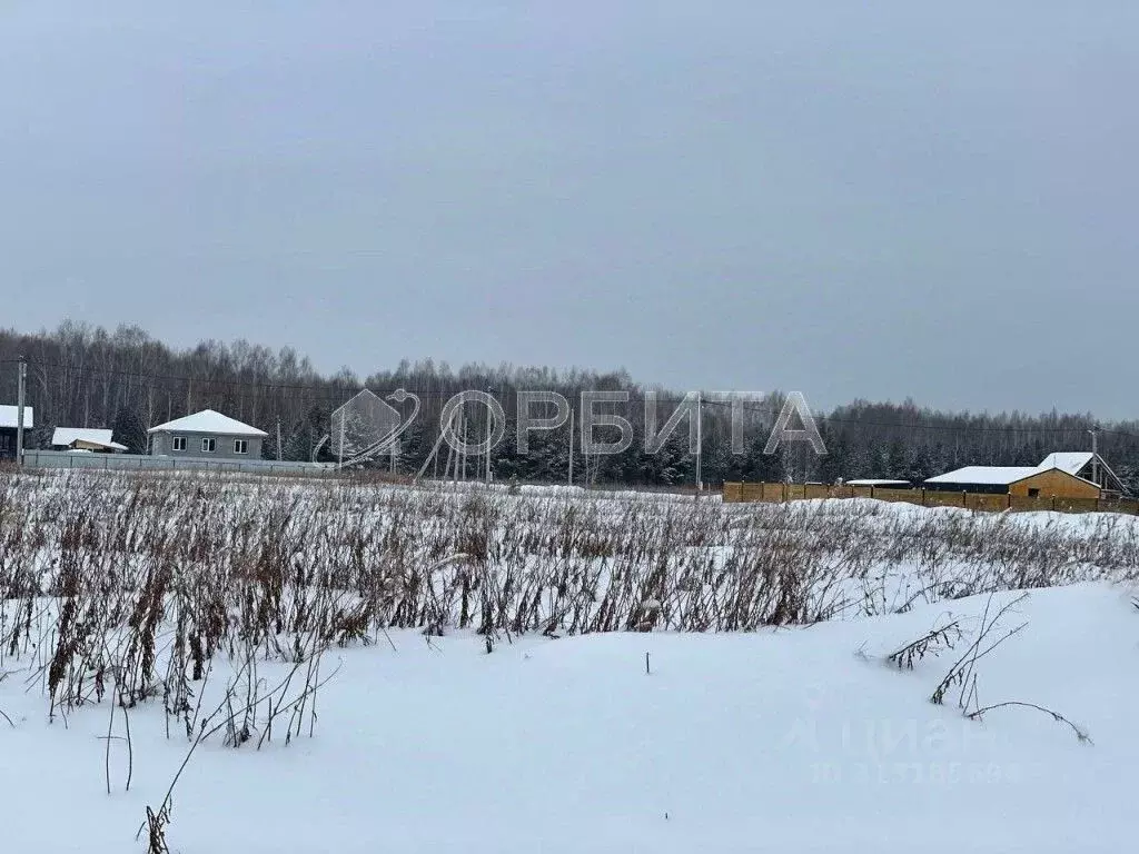 Участок в Тюменская область, Тюменский район, с. Кулига ул. ... - Фото 0