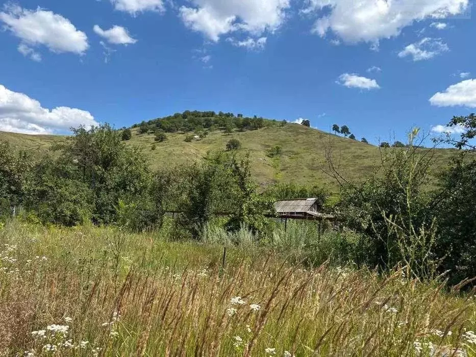 Дом в Самарская область, Жигулевск городской округ, с. Ширяево ул. ... - Фото 1