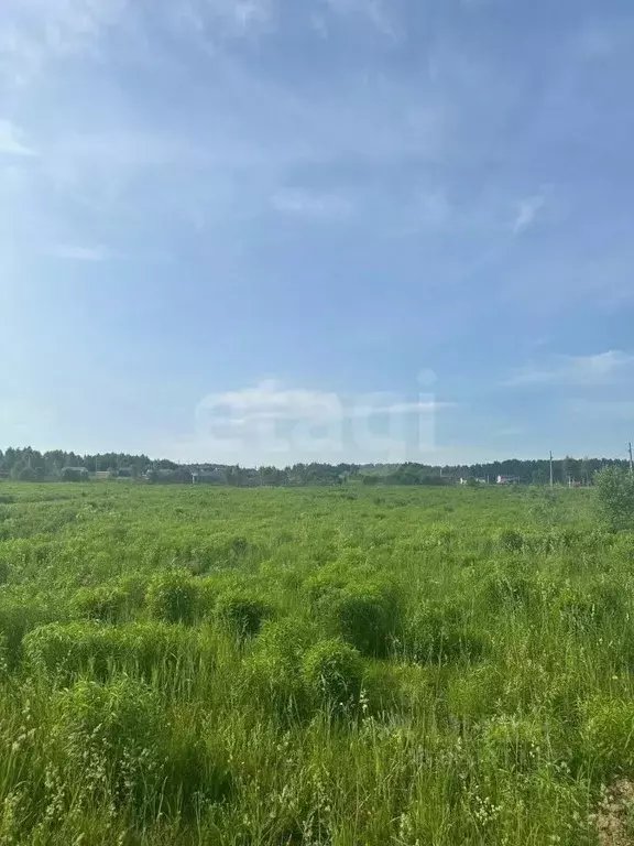 Участок в Тульская область, Алексин городской округ, с. Бунырево ул. ... - Фото 1