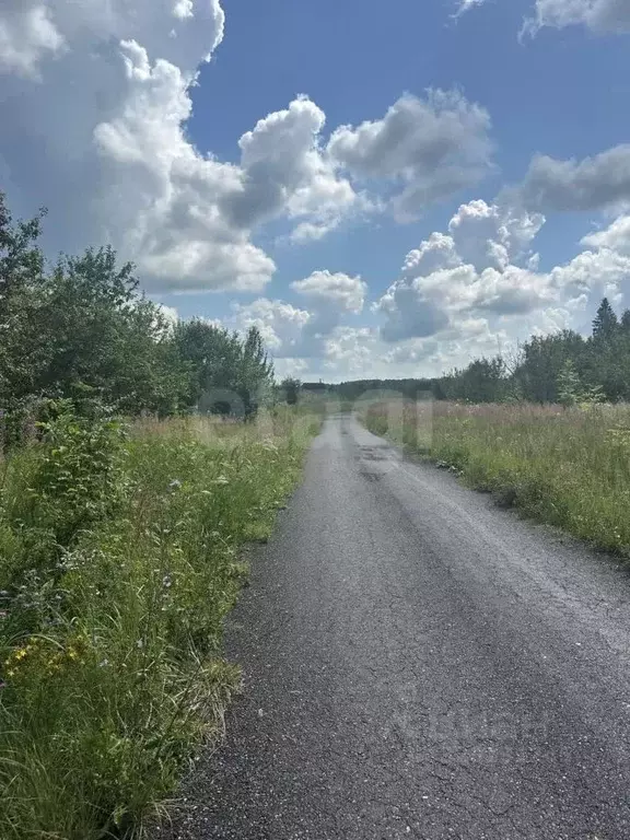 Участок в Калужская область, Жуковский район, Совхоз Чаусово с/пос, ... - Фото 2