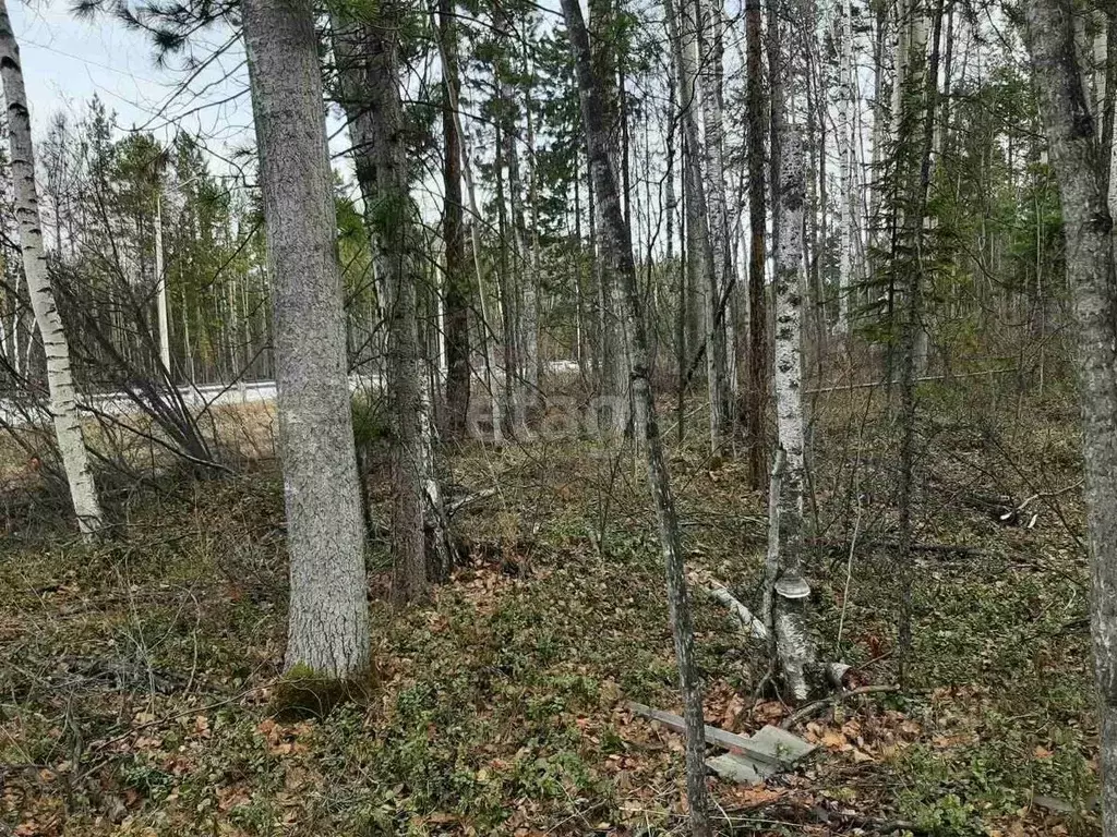 Участок в Бурятия, Баргузинский район, с. Максимиха  (10.0 сот.) - Фото 1