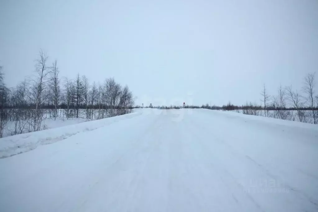 Участок в Ямало-Ненецкий АО, Новый Уренгой ул. Рахманинова, 18 (12.0 ... - Фото 0