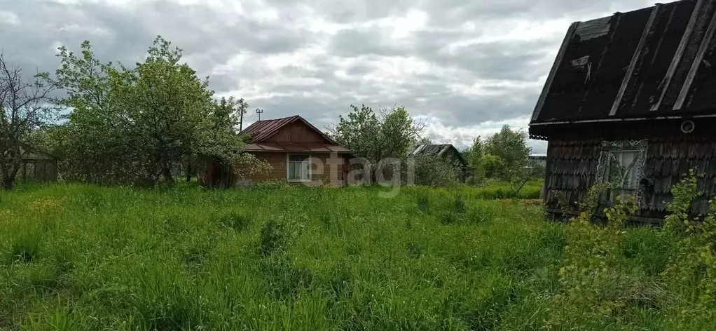 Участок в Вологодская область, Колос садоводческое товарищество  (5.2 ... - Фото 1