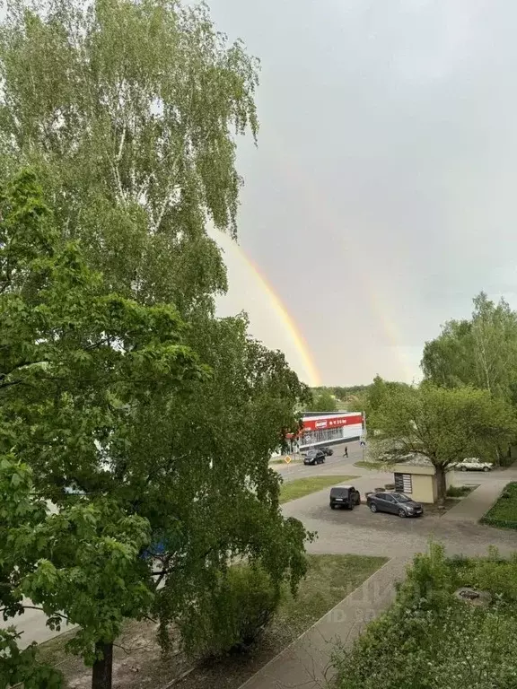 Студия Тверская область, Калязин ул. Московская, 30 (30.0 м) - Фото 0