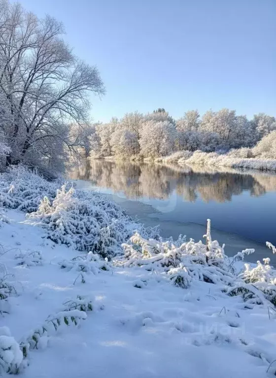 Участок в Московская область, Талдомский городской округ, д. ... - Фото 2