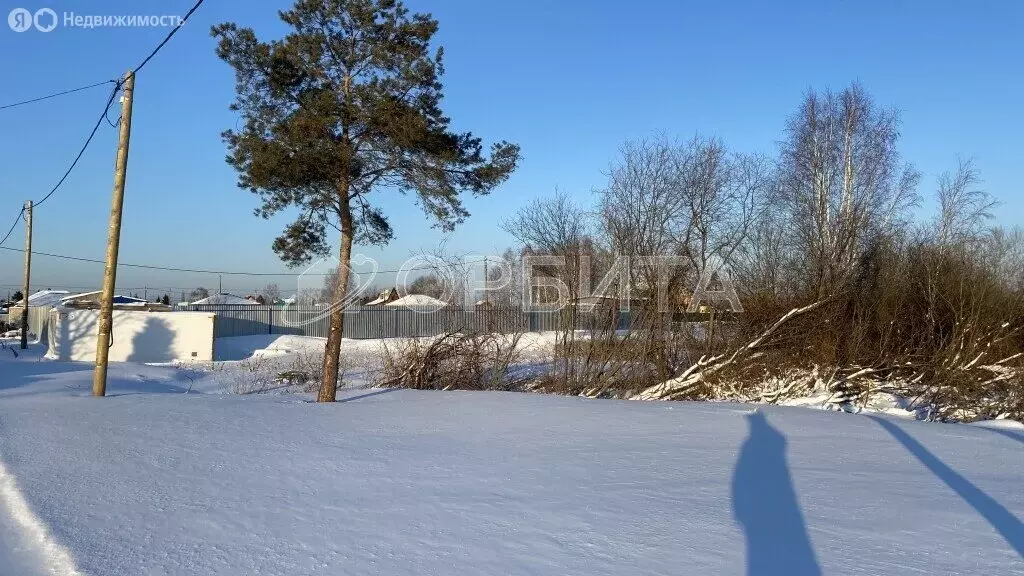 Участок в Тюмень, СНТ Салют (9.3 м) - Фото 2