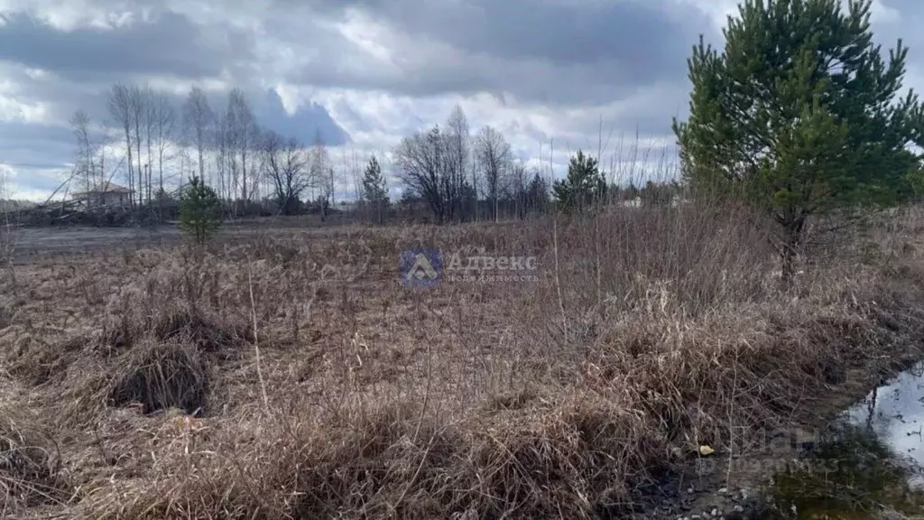 Участок в Тюменская область, Нижнетавдинский район, д. Штакульская  ... - Фото 0