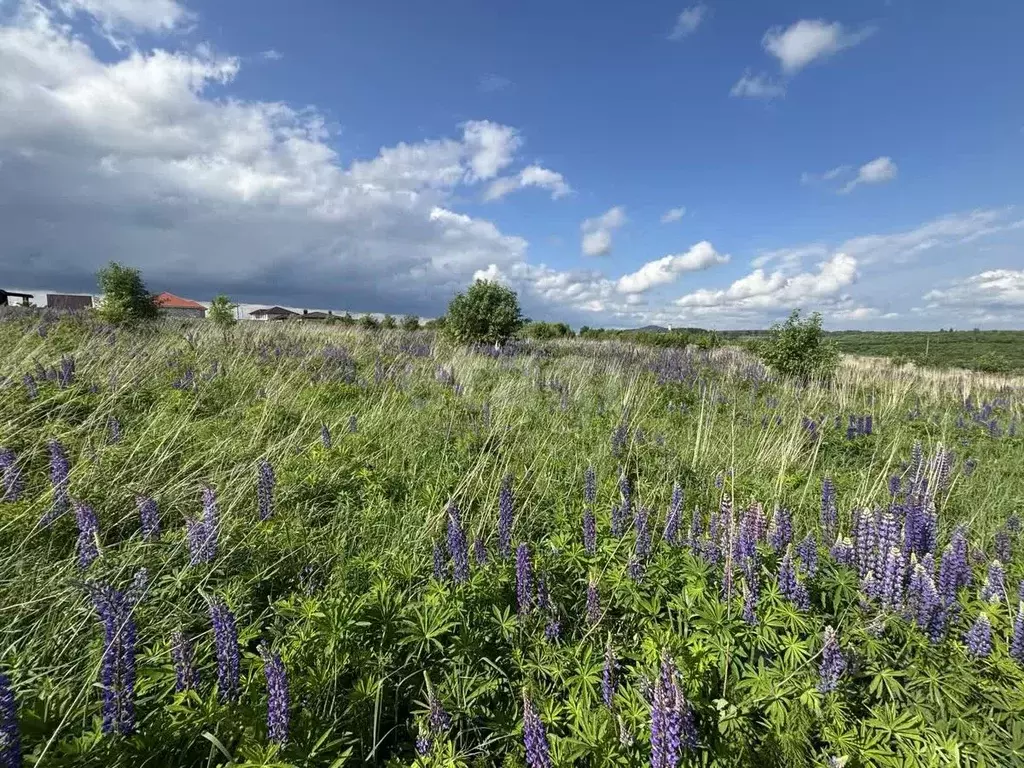 Участок в Смоленская область, Смоленский муниципальный округ, д. ... - Фото 2