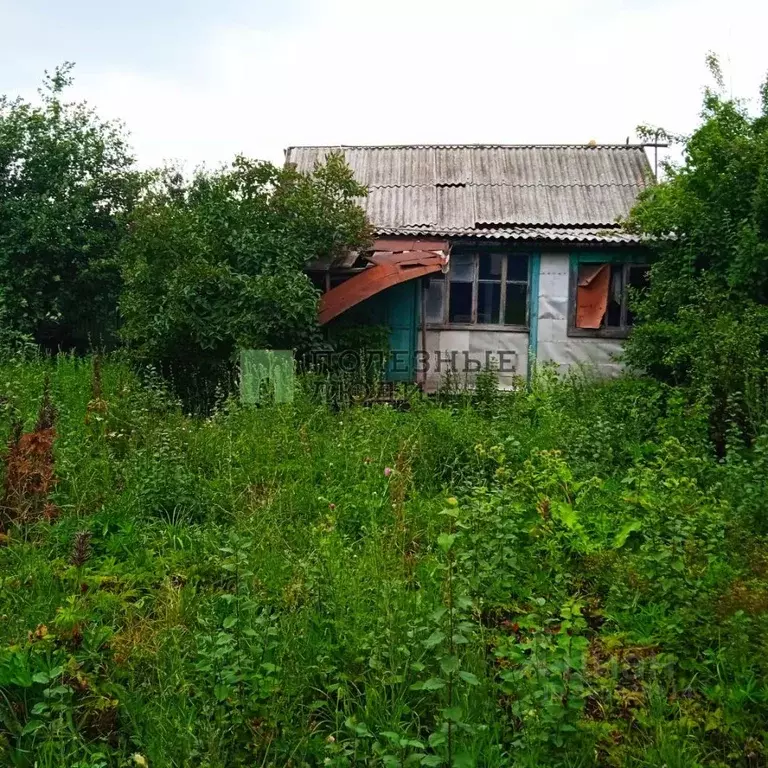 Участок в Саратовская область, Татищевский район, Ягодно-Полянское ... - Фото 1