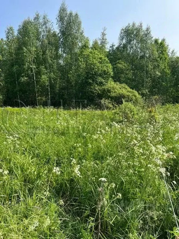 Участок в Ленинградская область, Выборгский район, Советское городское ... - Фото 1